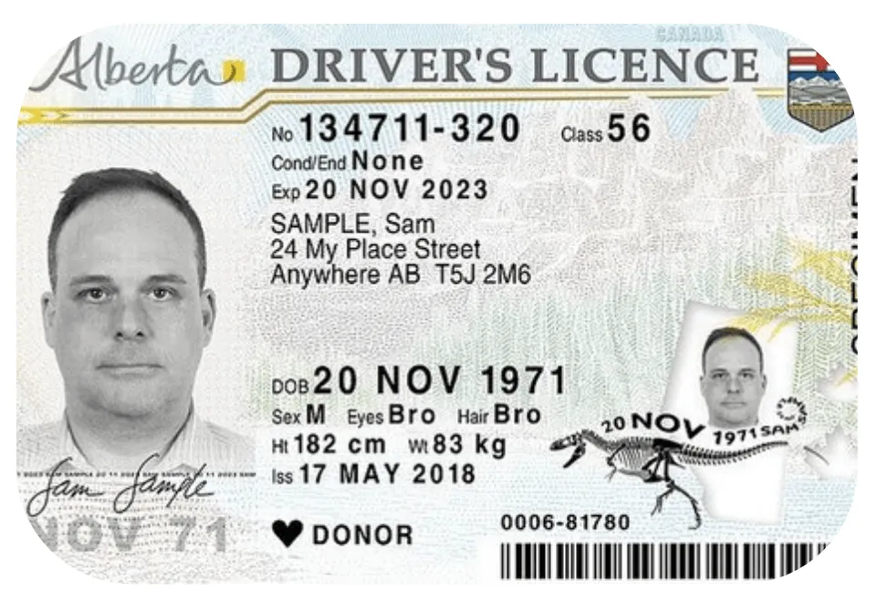 Drivers licence