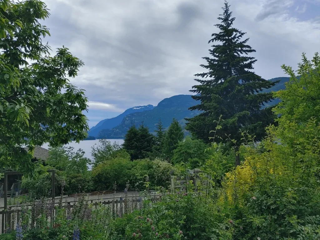 Vancouver Island Green Trees