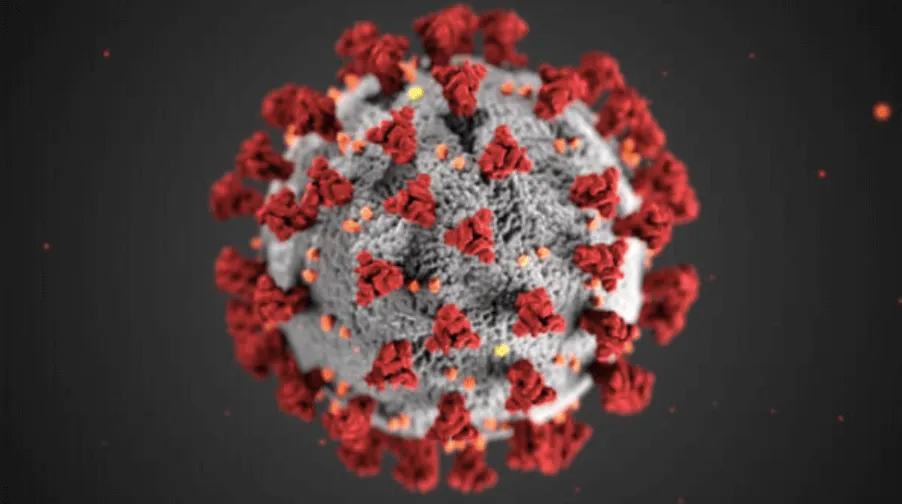 Covid Virus