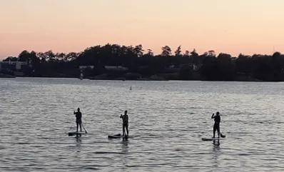 Stand up paddle boarders